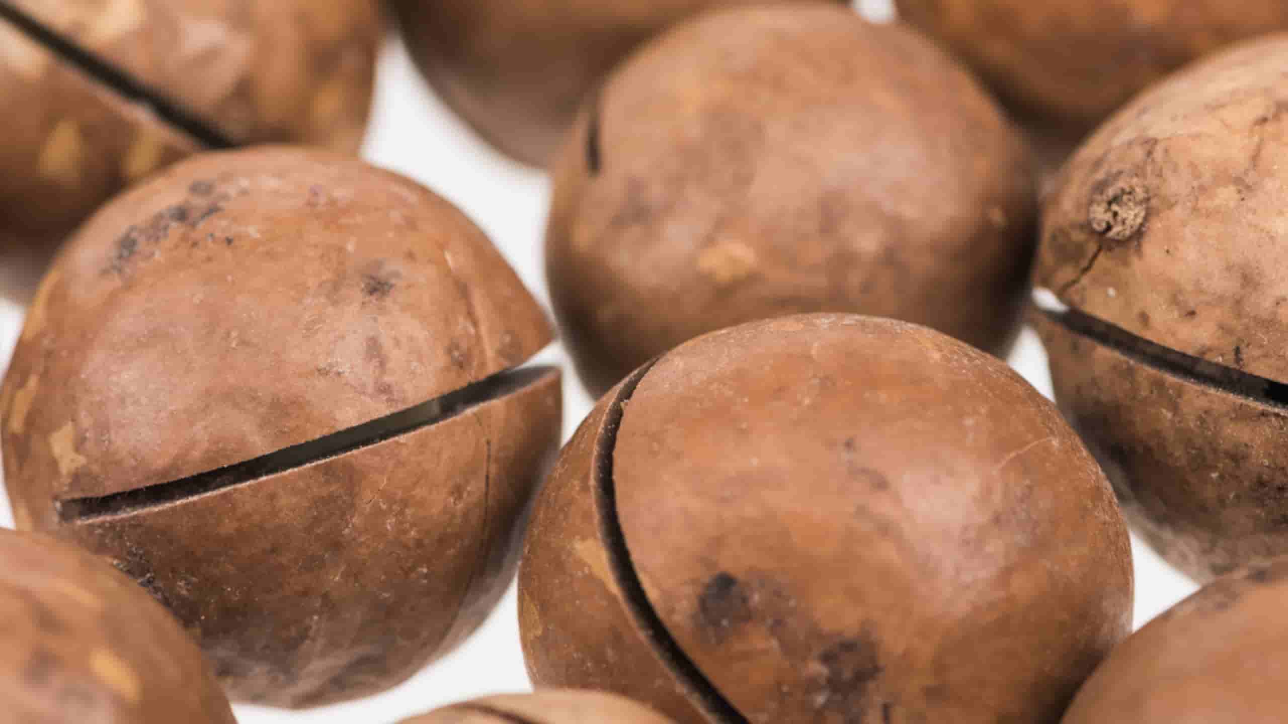 How to use bulk macadamia nuts in savory dishes like salads and stir-fries