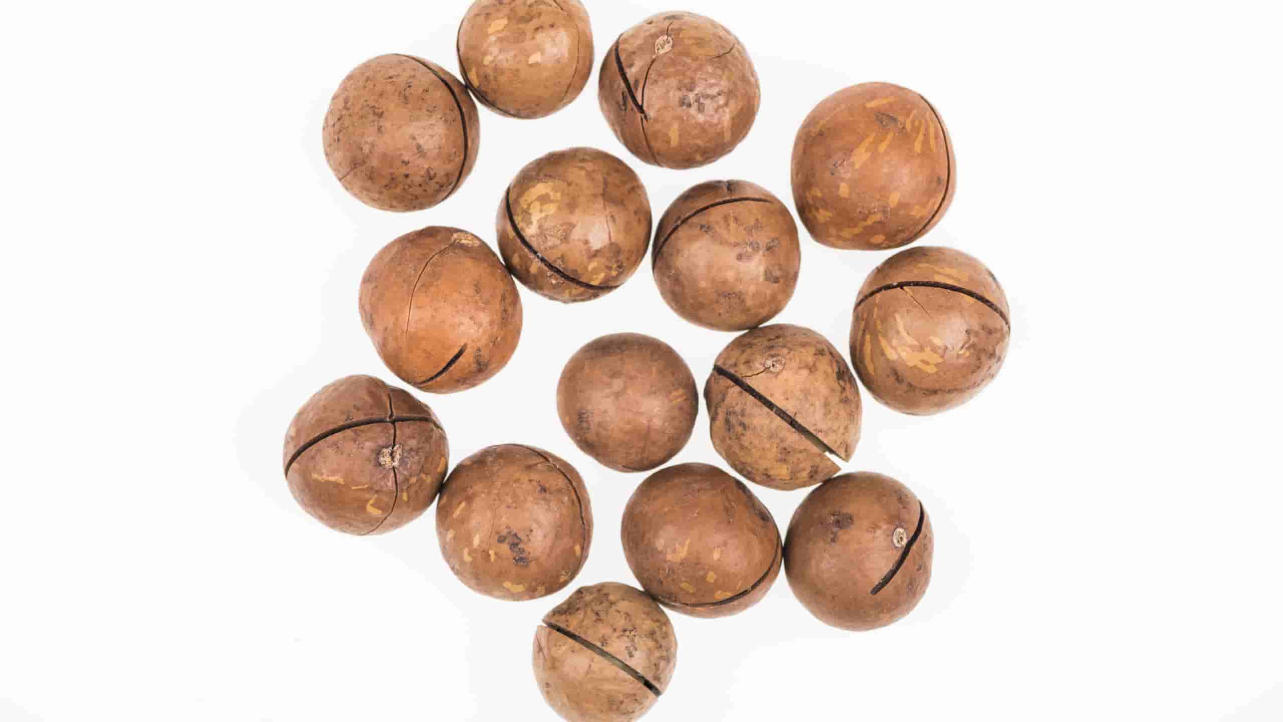 What is the best recipe using bulk macadamia nuts?