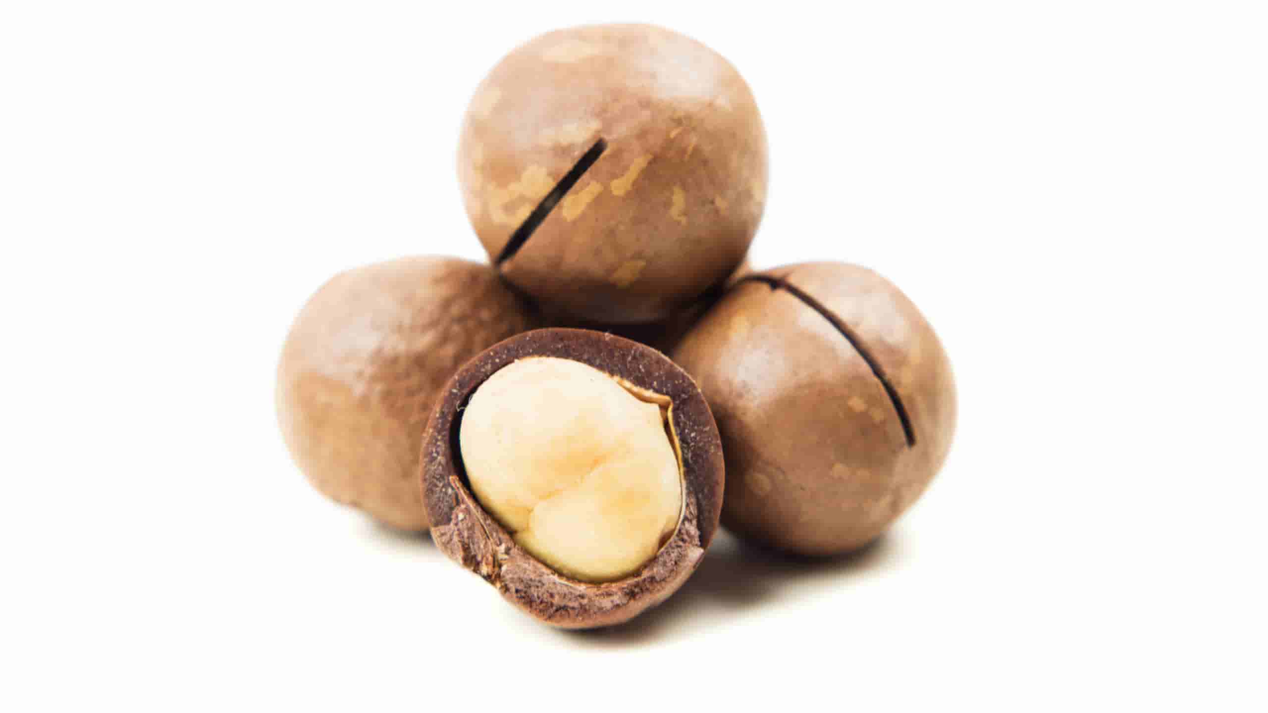 What is the health benefits of consuming bulk macadamia nuts?