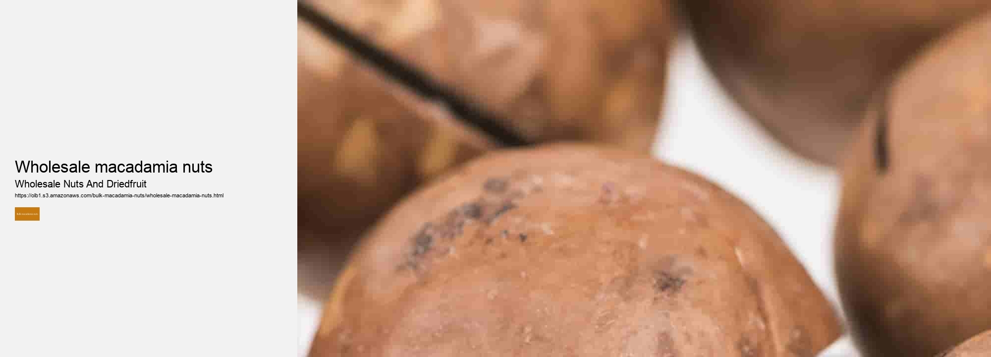 Wholesale macadamia nuts