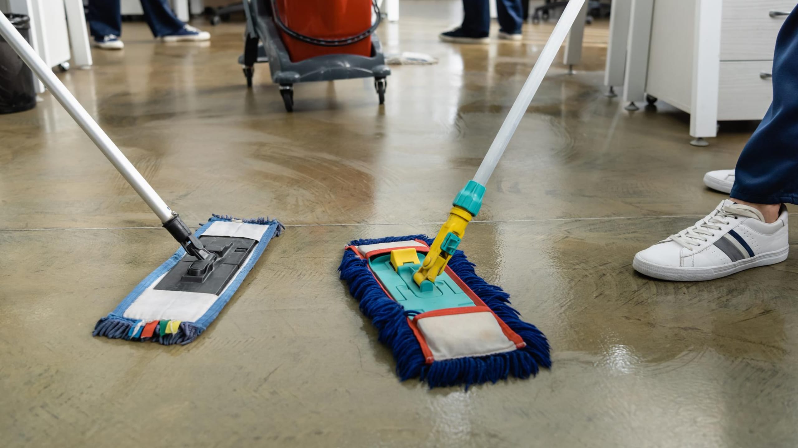 carpet cleaning services
