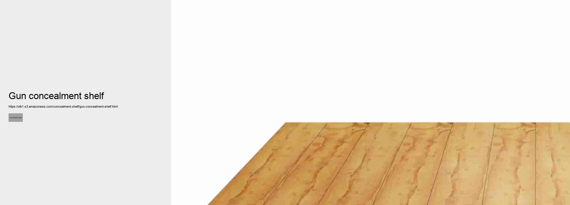 gun concealment shelf