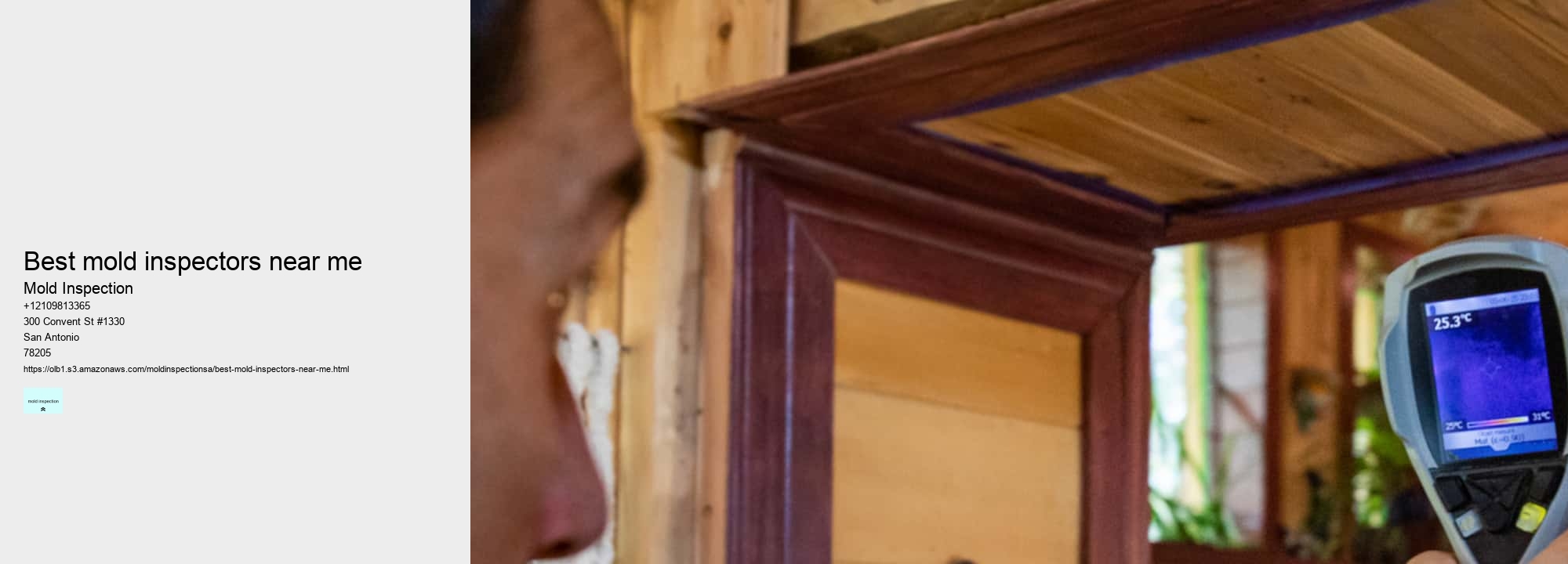 best mold inspectors near me