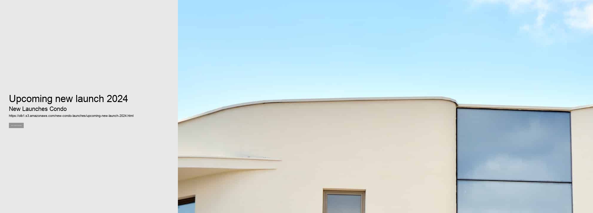 upcoming new launch 2024