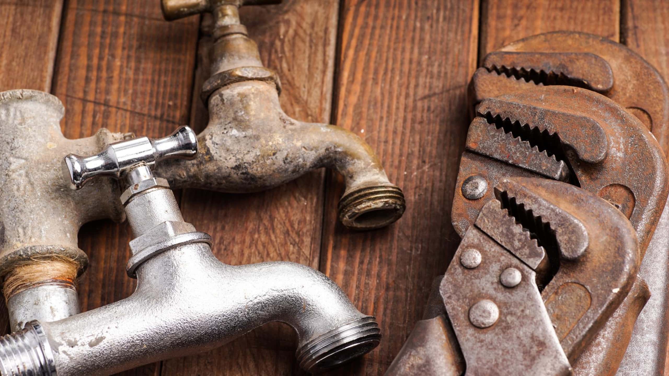 How to Benefit from Expert Advice When Choosing a Plumber for Your Project